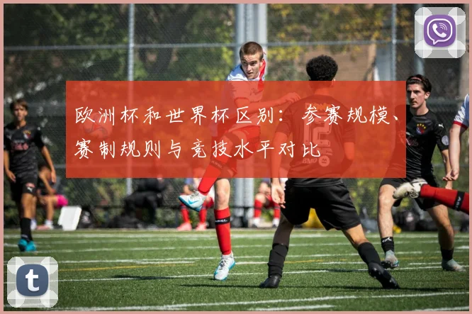 欧洲杯和世界杯区别:参赛规模、赛制规则与竞技水平对比
