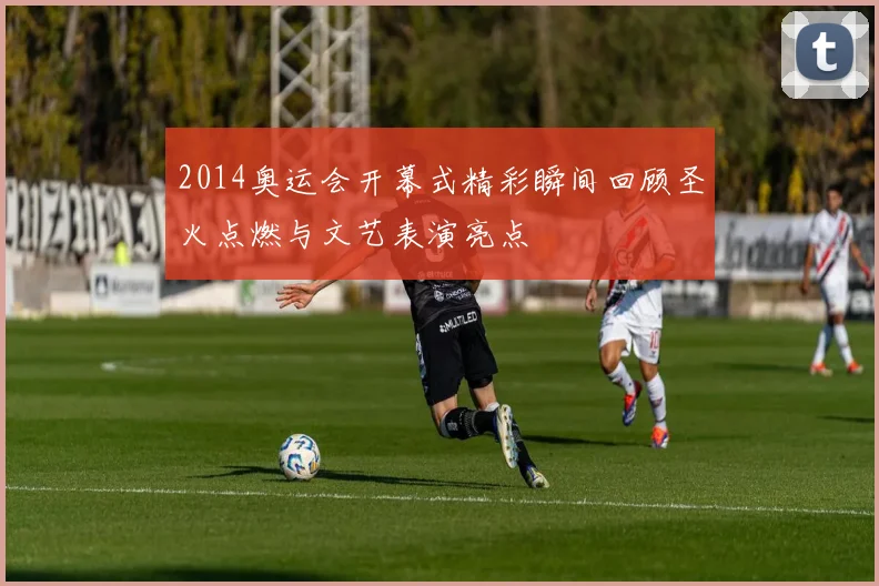 2014奥运会开幕式精彩瞬间回顾圣火点燃与文艺表演亮点
